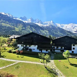 Superbe Vue Mont Blanc , Chamonix France